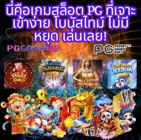 เว็บไมอามี่
